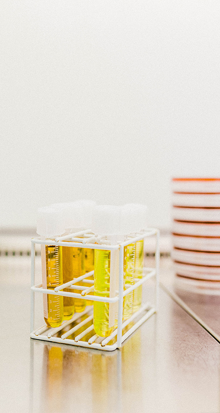 microviable-02 microviable-02