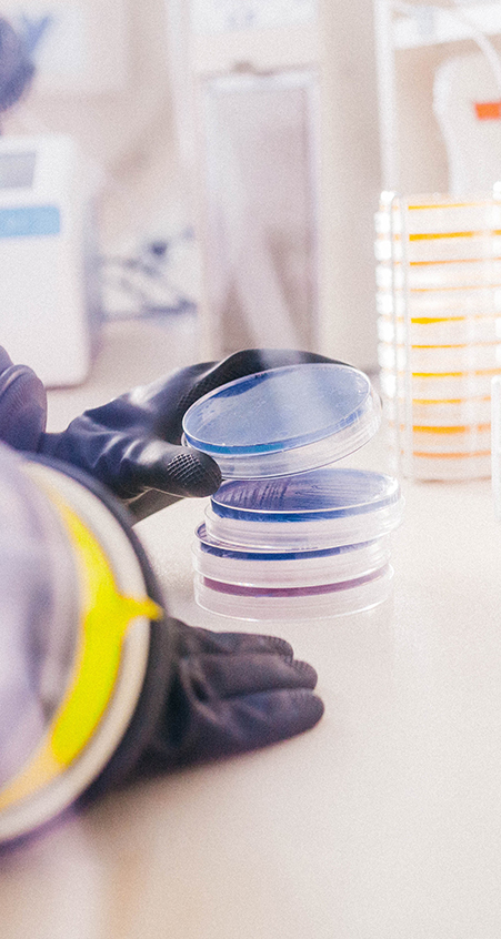 microviable-05 microviable-05