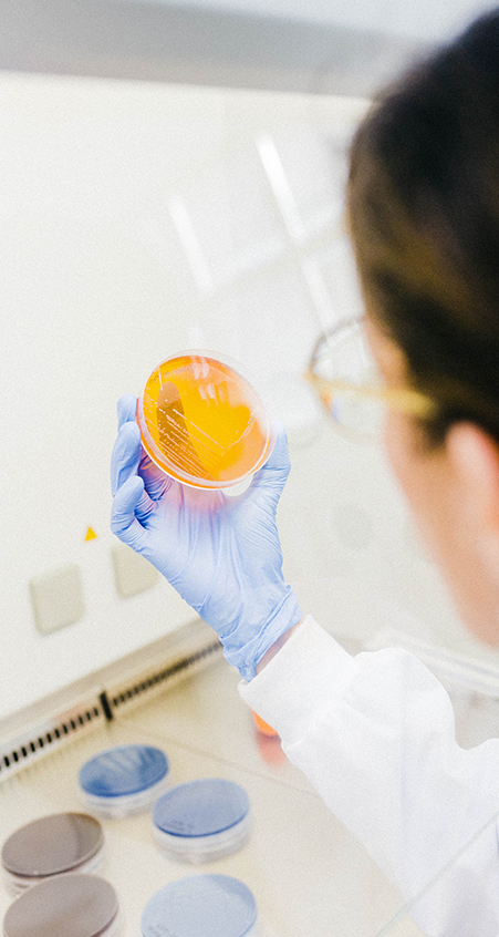 microviable-06 microviable-06